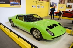 DSC_0173_edited